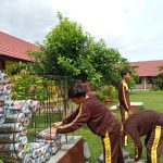 Gerakan Hijau Sekolah, Upaya untuk Mewujudkan Sekolah Ramah Lingkungan